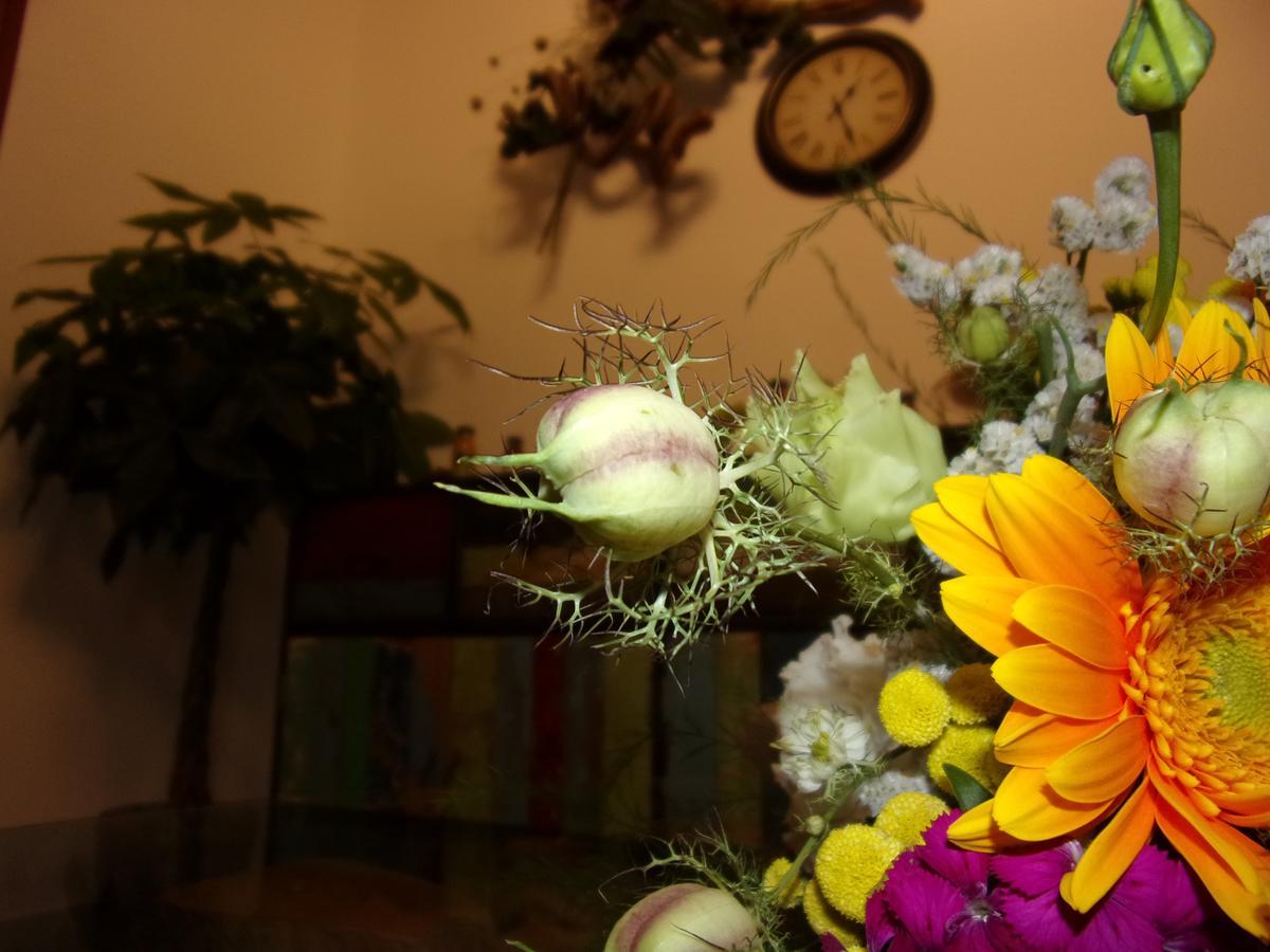 La Fontanella Bed & Breakfast Lecce Dış mekan fotoğraf